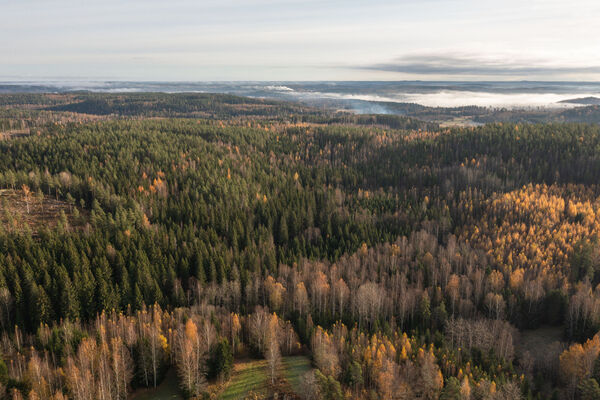 Pusulantie 260, Karkkila