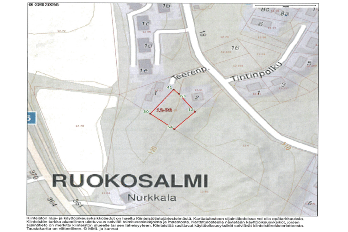 Teerenpolku 4, Tahkovuori (Tahkovuori)