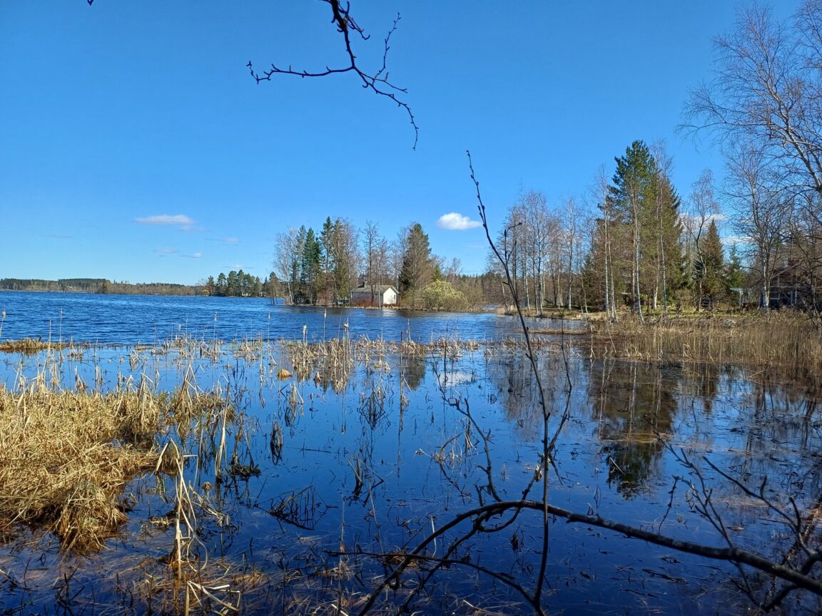 Kilintie 74, Hauho (Okerla)