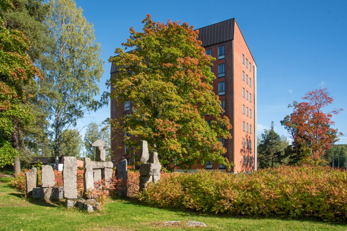 Wessmanninkatu 6, Äänekoski (Keskusta)