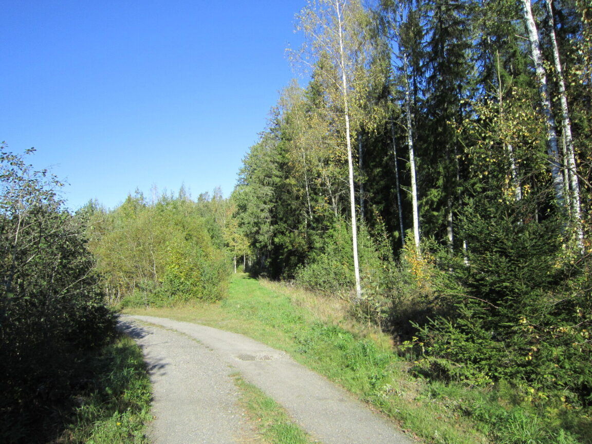 Salkoftintie 65, Söderkulla (Hangelby)