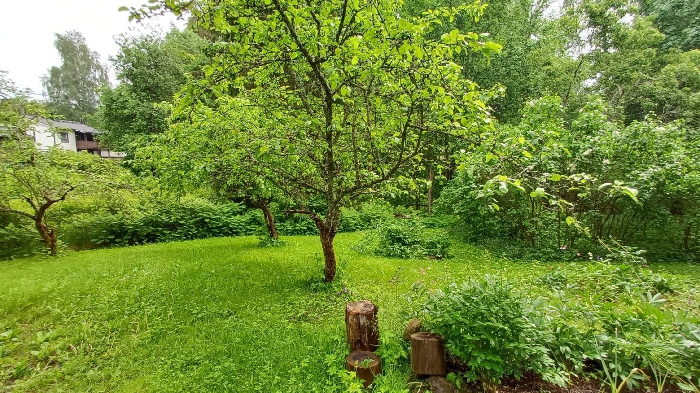 Uurtamonpolku 4a, Hämeenlinna (Ahvenisto), Kuva 1