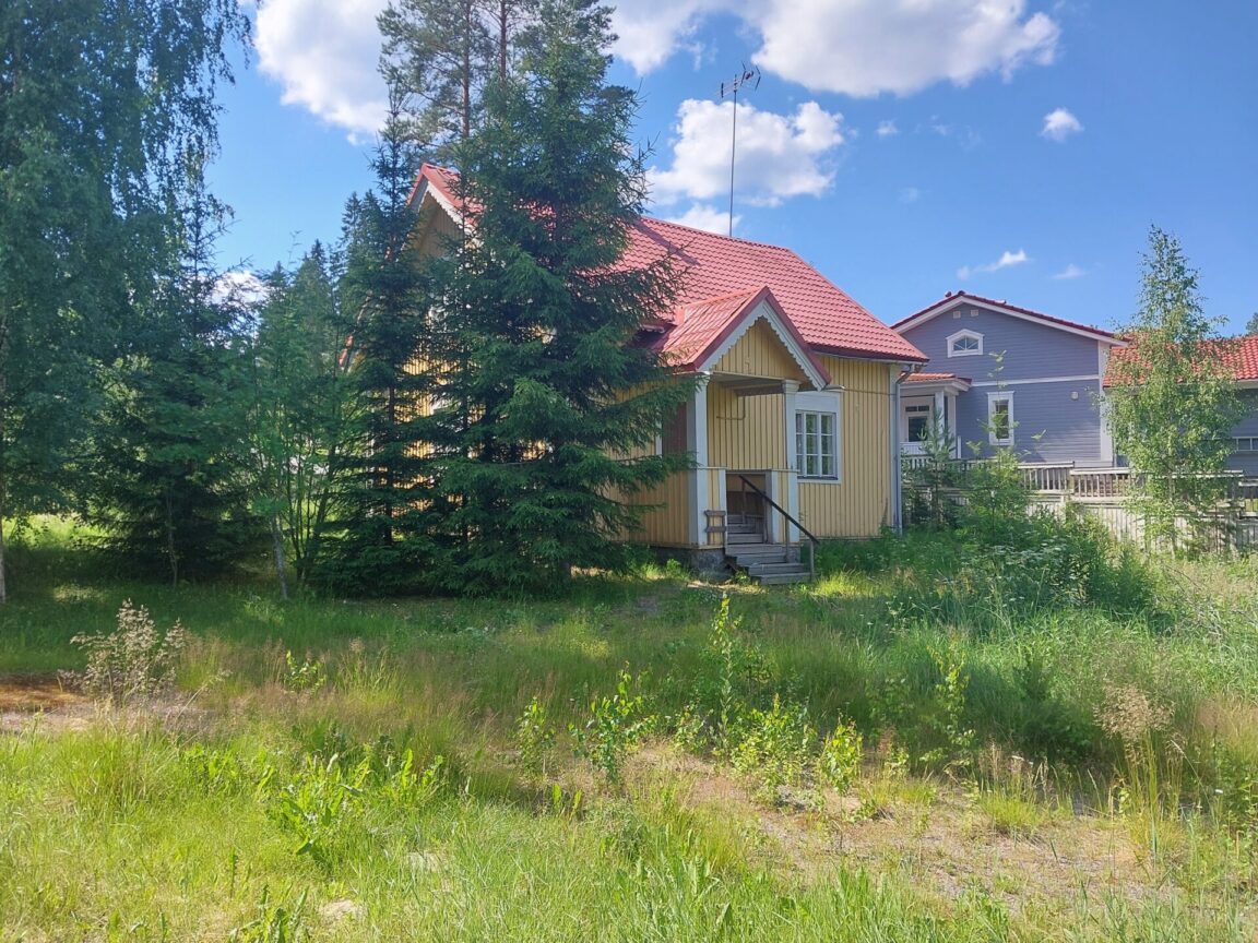 Ääneniementie 30, Äänekoski (Ääneniemi)