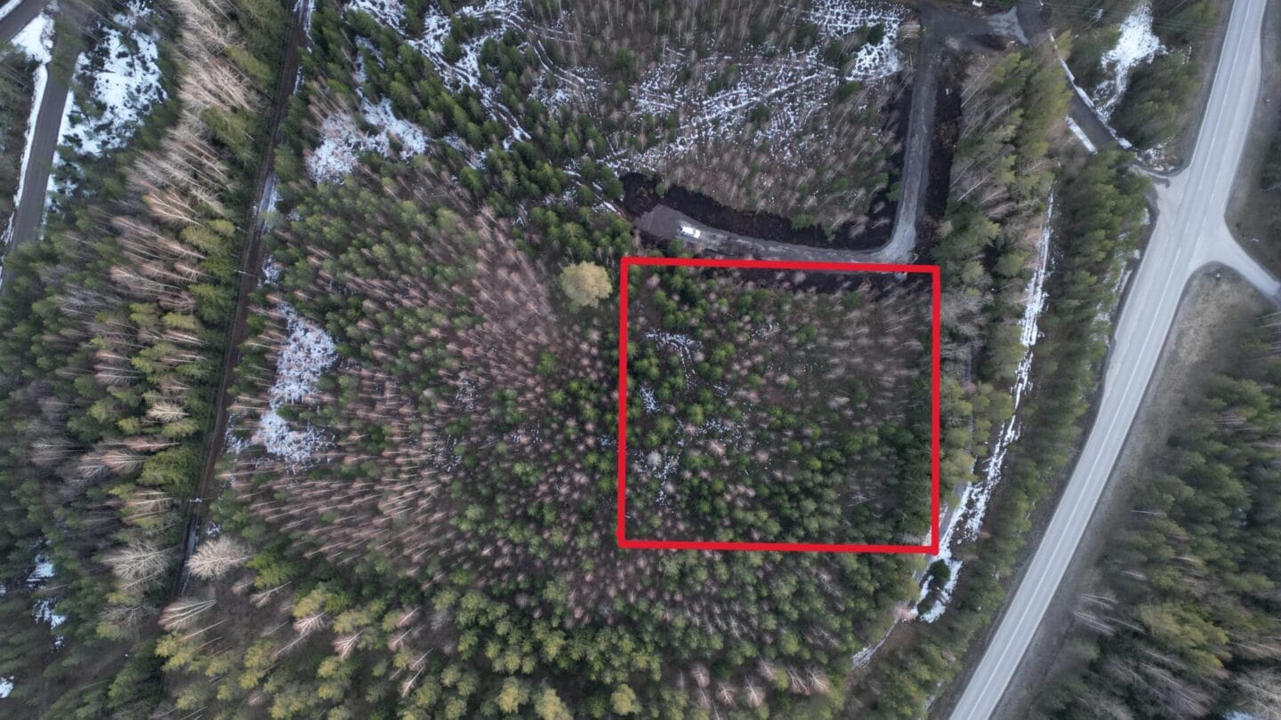 Fredsbackantie 33, Paippinen (Pohjois-Paippinen), Kuva 1