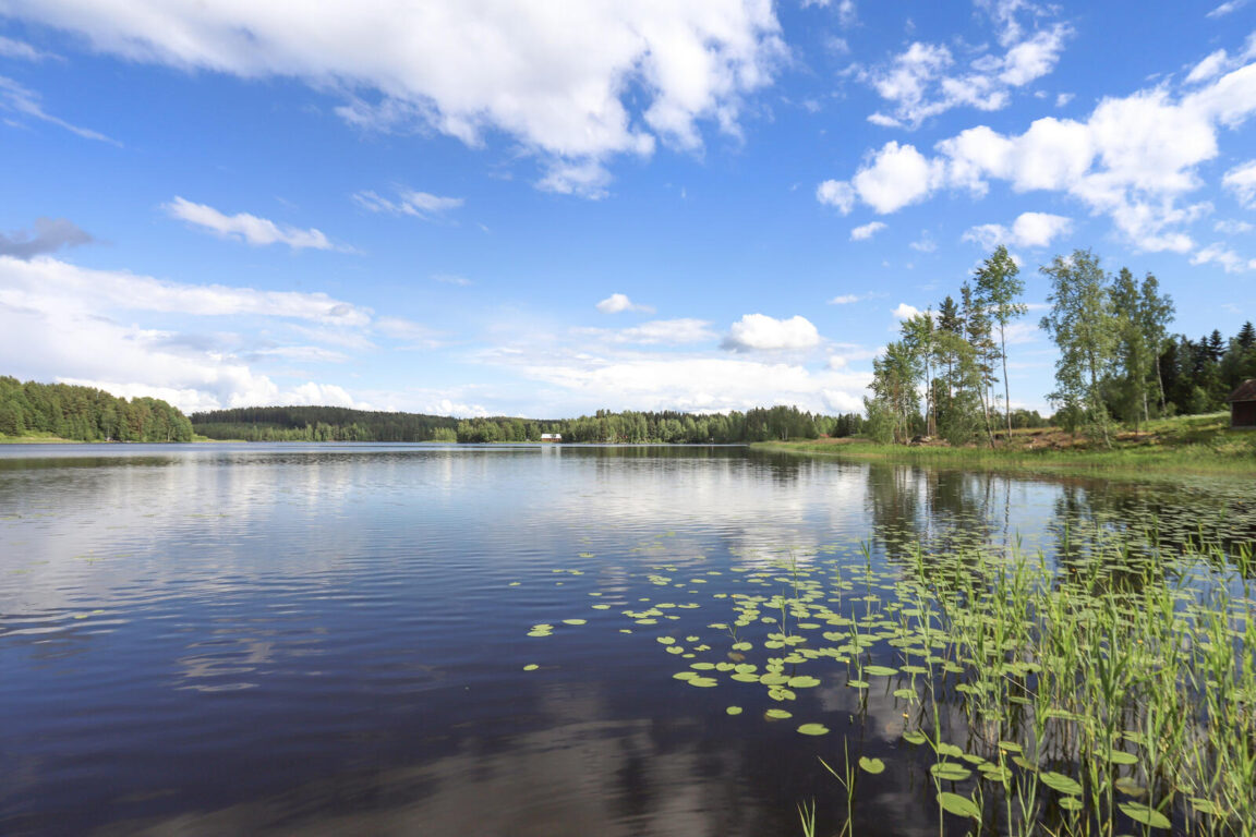 Oksjärventie 91, Hämeenlinna (Tuulos)