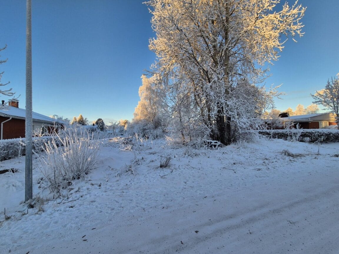 Metsotie 7a, Ylivieska (Toivonpuisto)