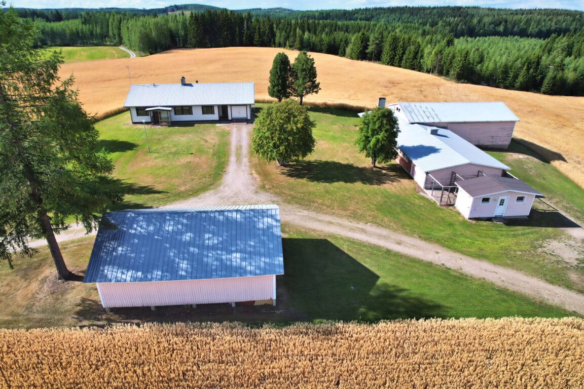 Hirvijärventie 219, Juurikkamäki