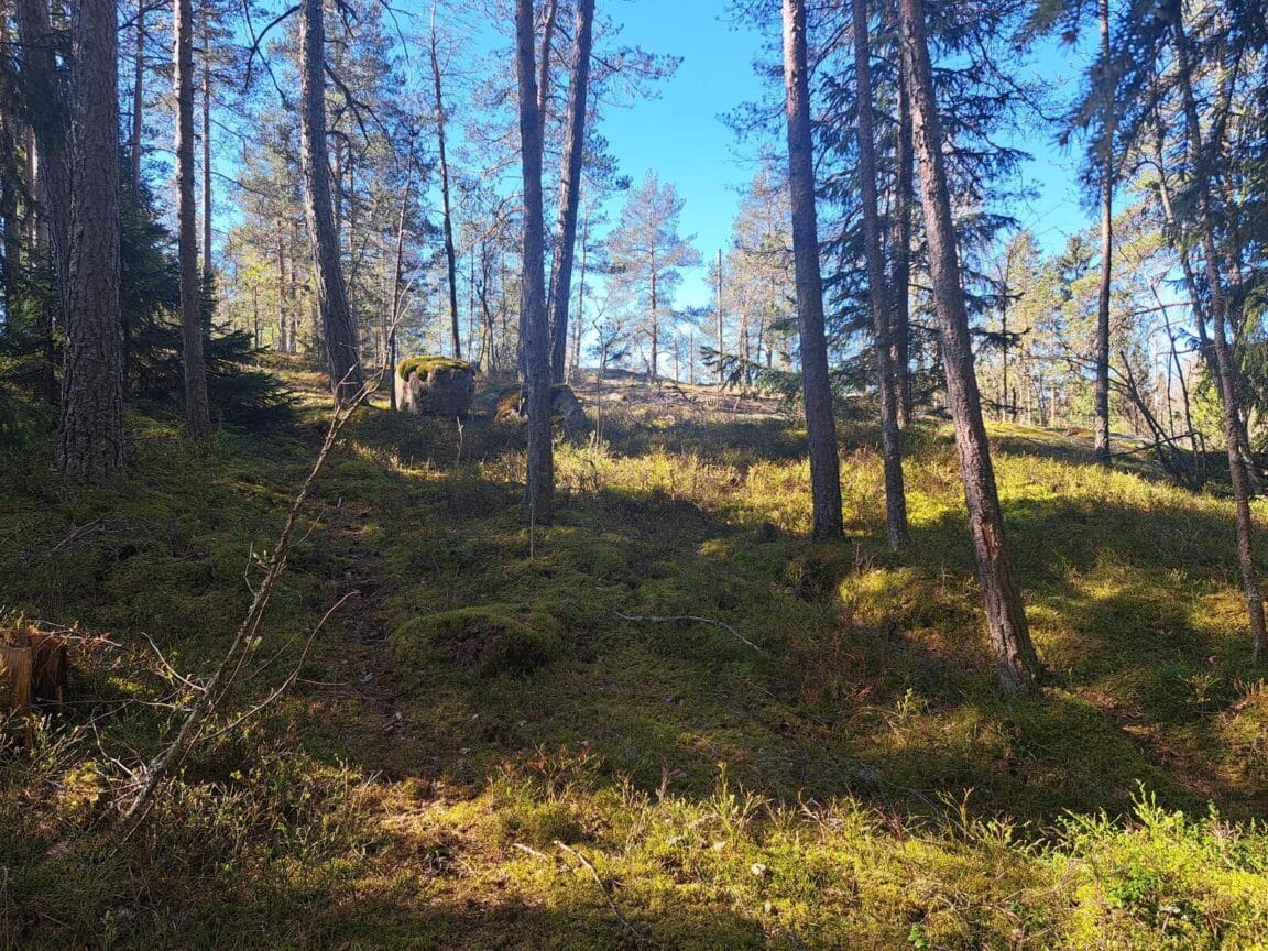 Gumbontie 24, Västerskog (Västerskog)