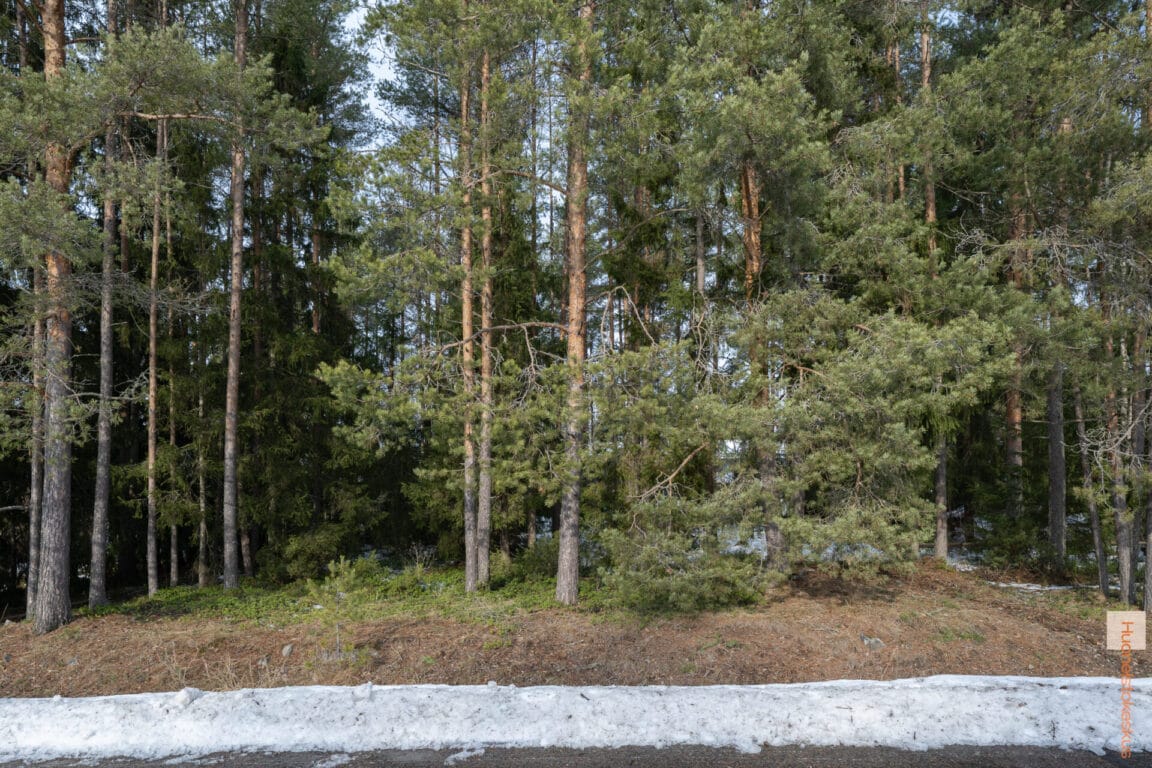 Visatie 6, Ylivieska (Hollihaka)