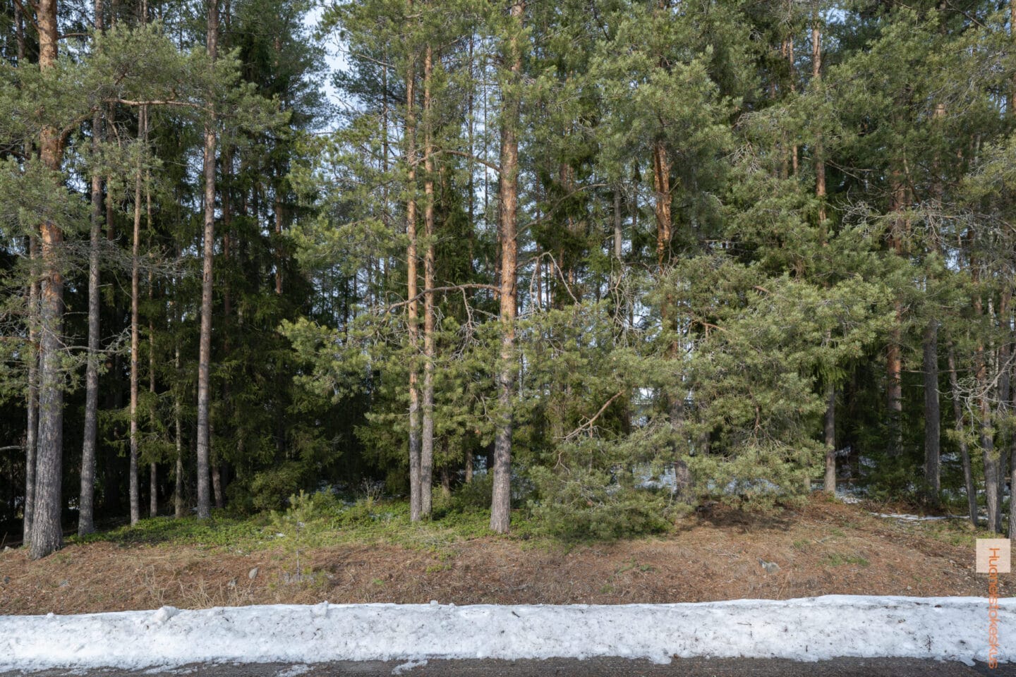 Visatie 6, Ylivieska (Hollihaka), Kuva 1
