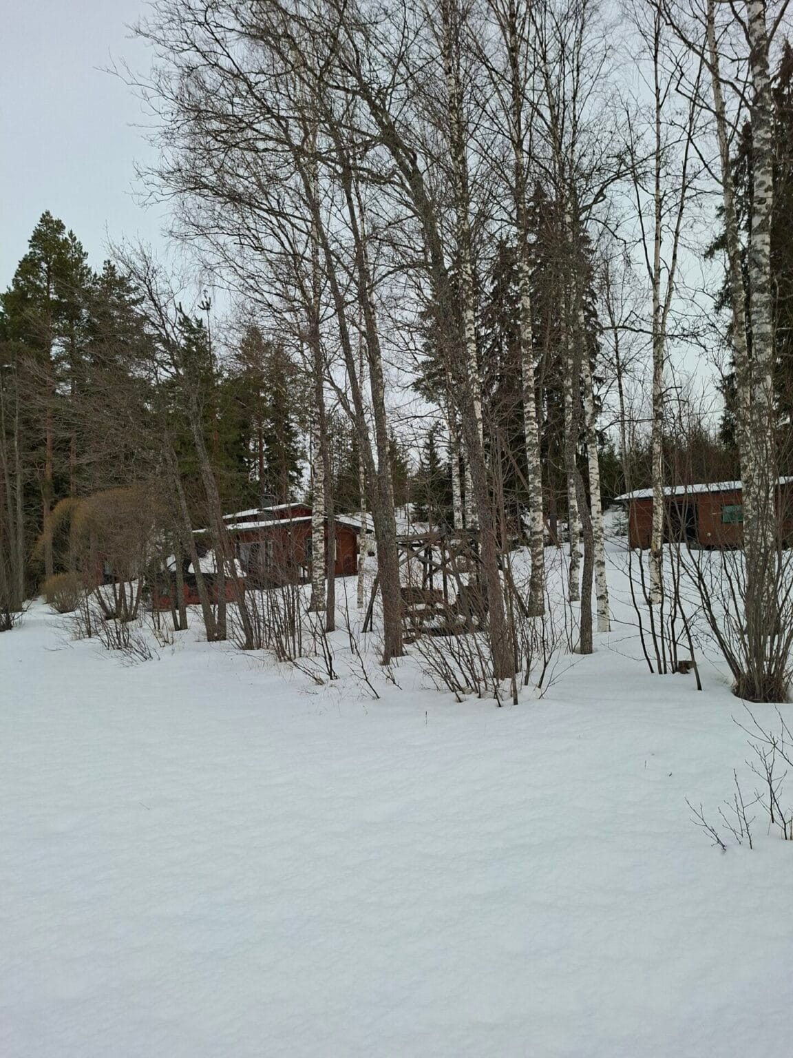Luuslahdentie 156, Leppävirta (SAAMAISKYLÄ)