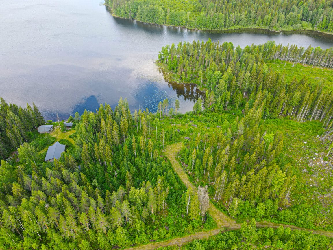 Näretie, Litmaniemi (Litmaniemi)