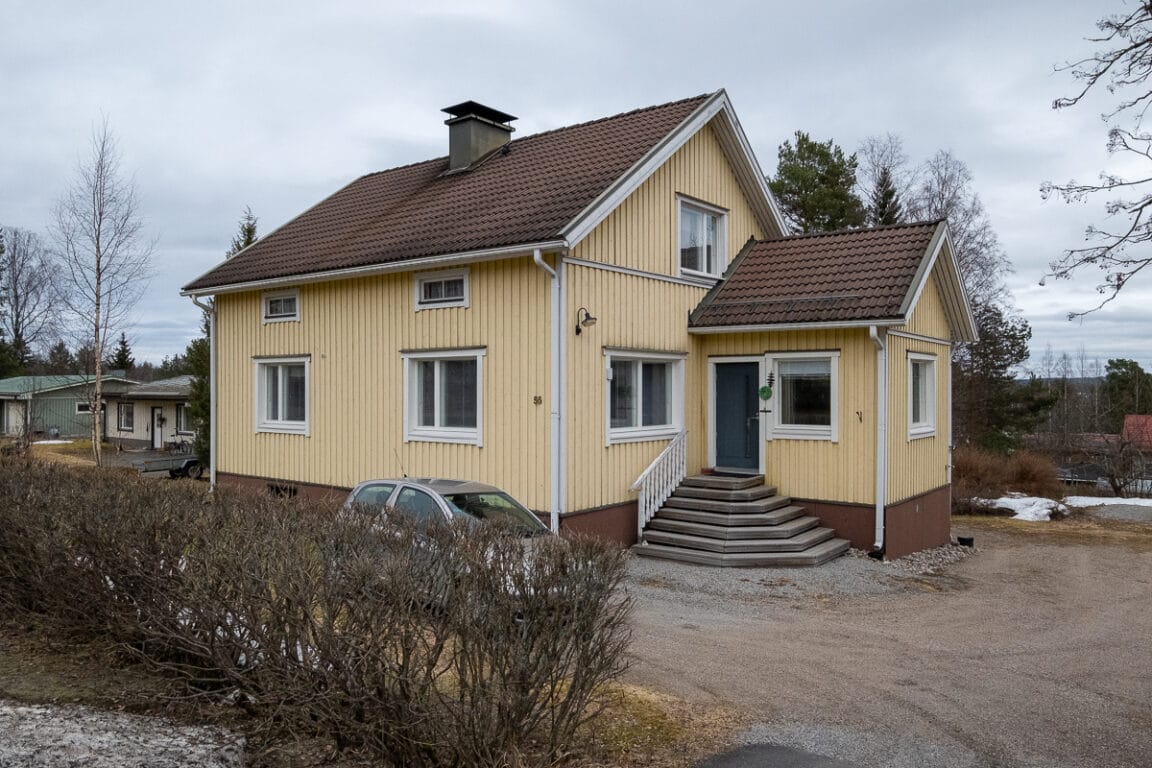 Mämmensalmentie 55, Äänekoski (Ääneniemi)