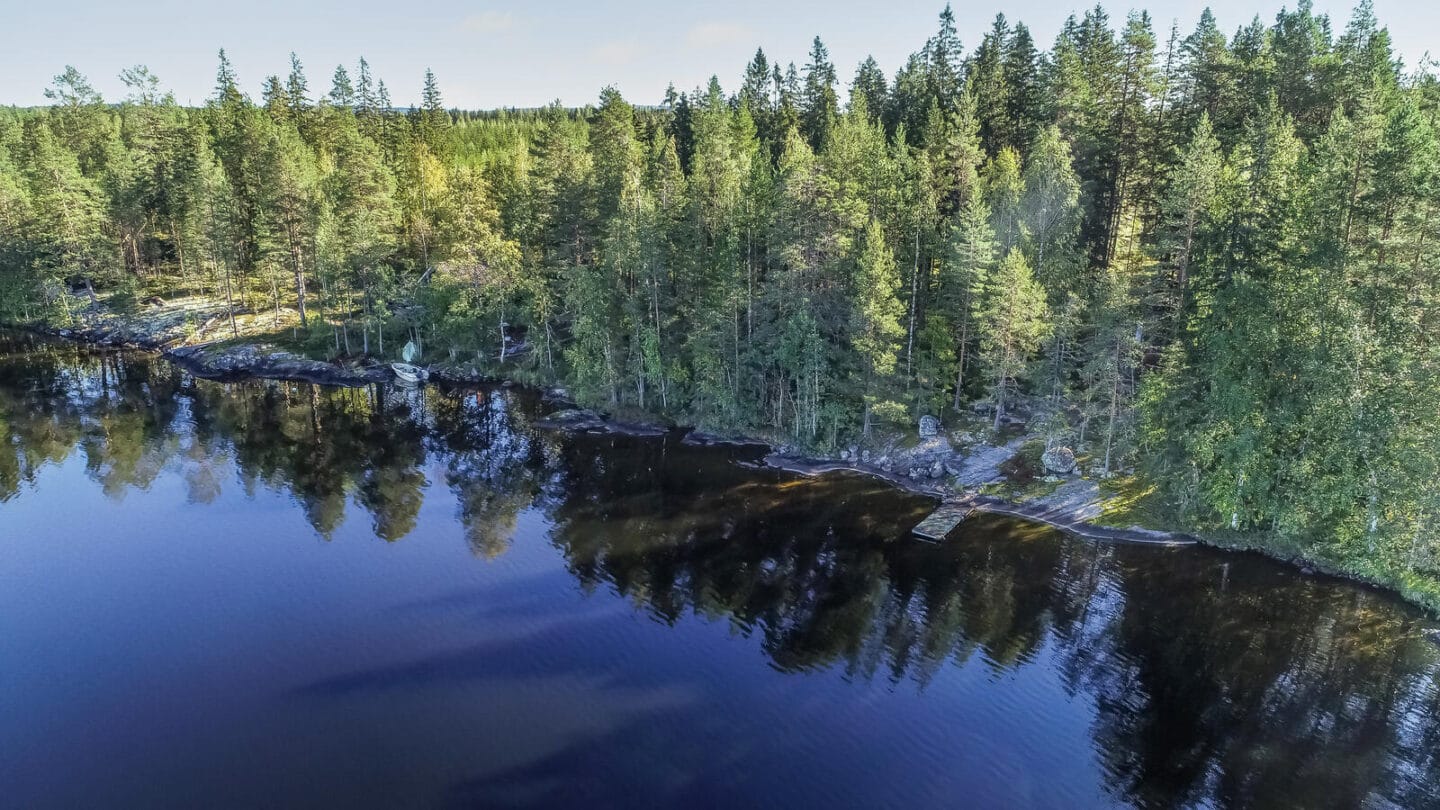 Röhmänniemetie 155 B, Tuusniemi (Pahkasalo), Kuva 1