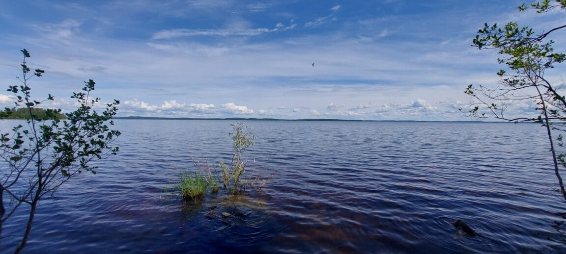 Hatunpolku 2, Koli (Koli)