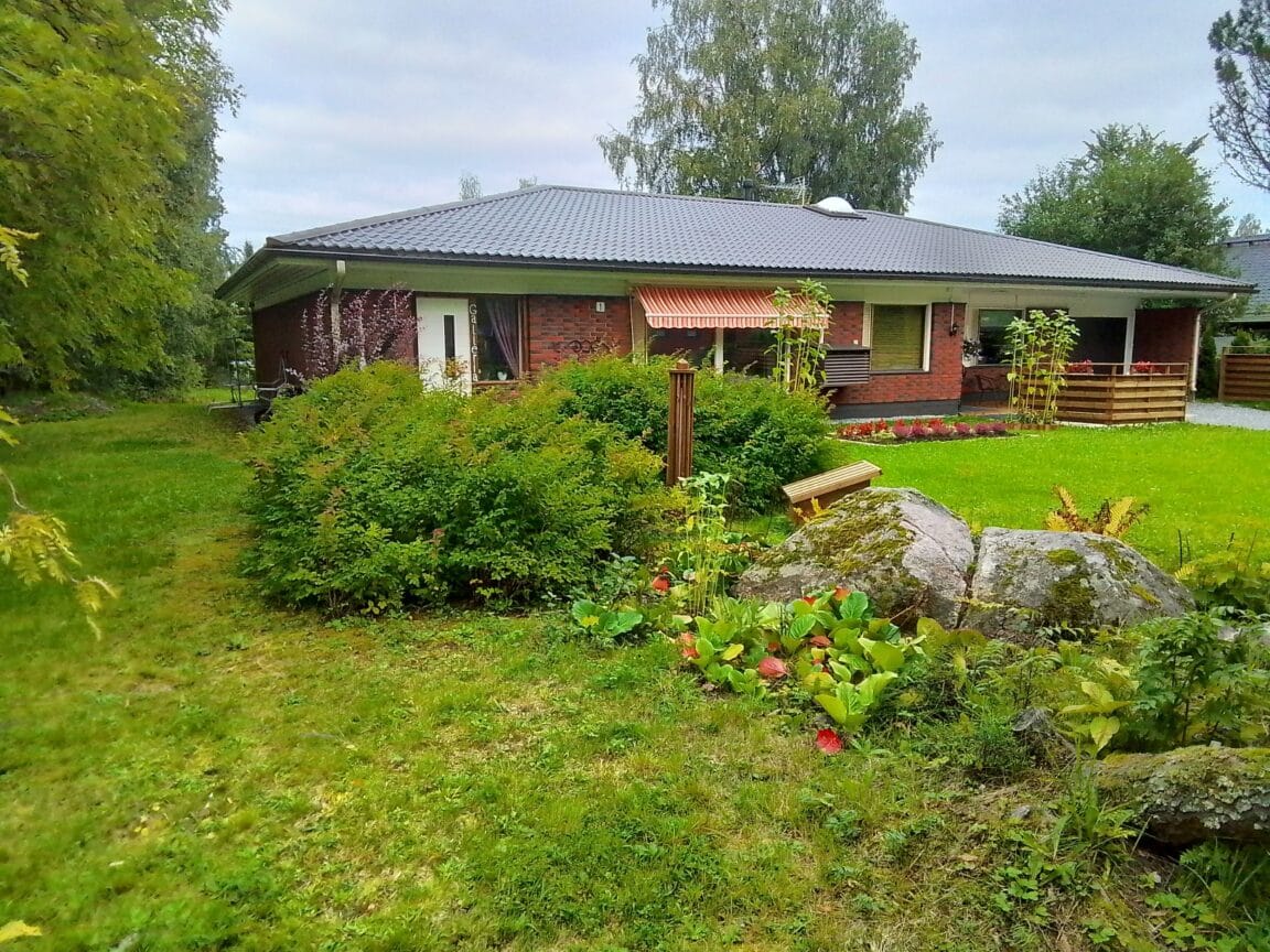 Lassintie 1, Viitasaari