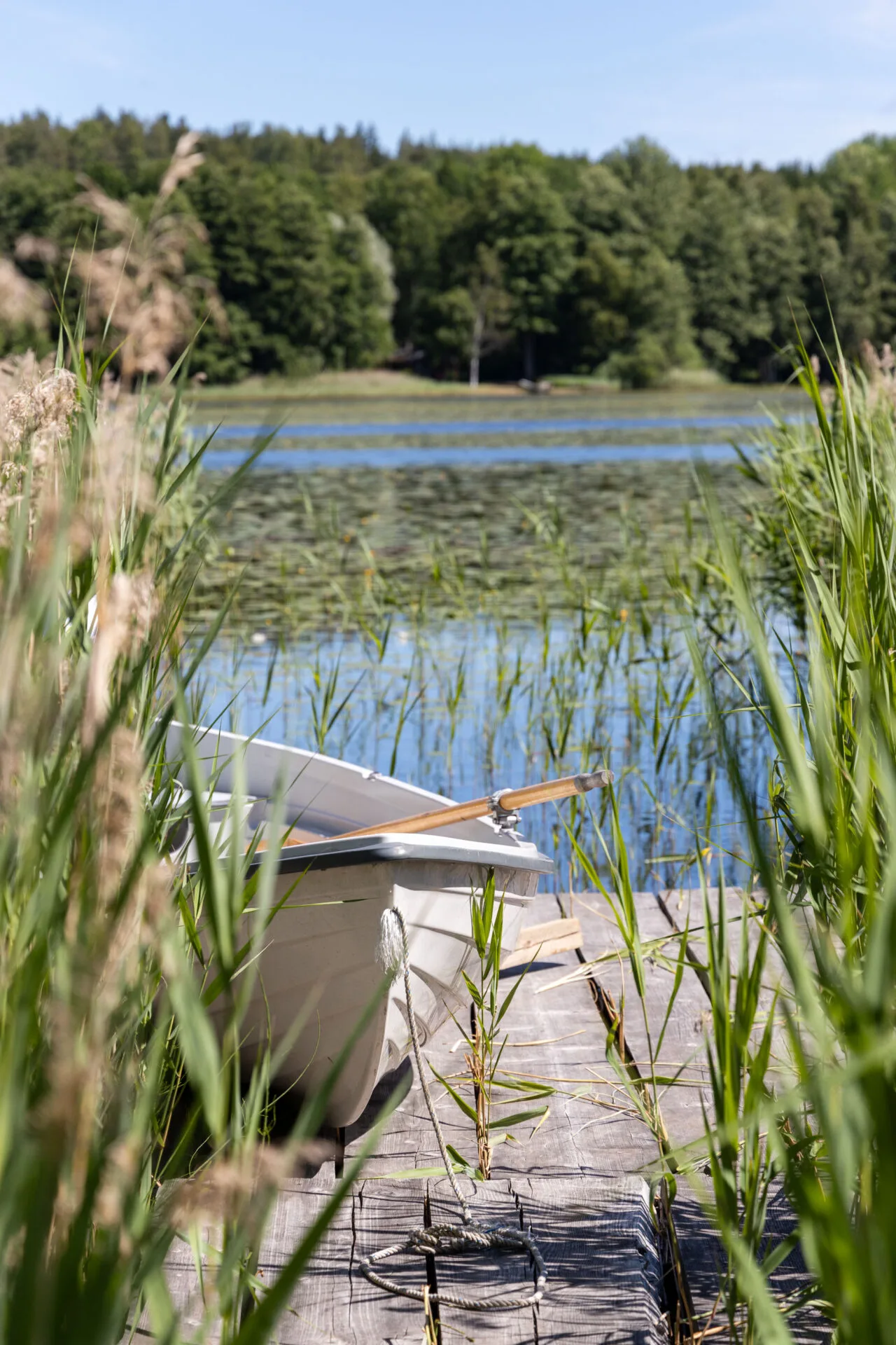 Maatila, 35000 m², Lehmijärvi