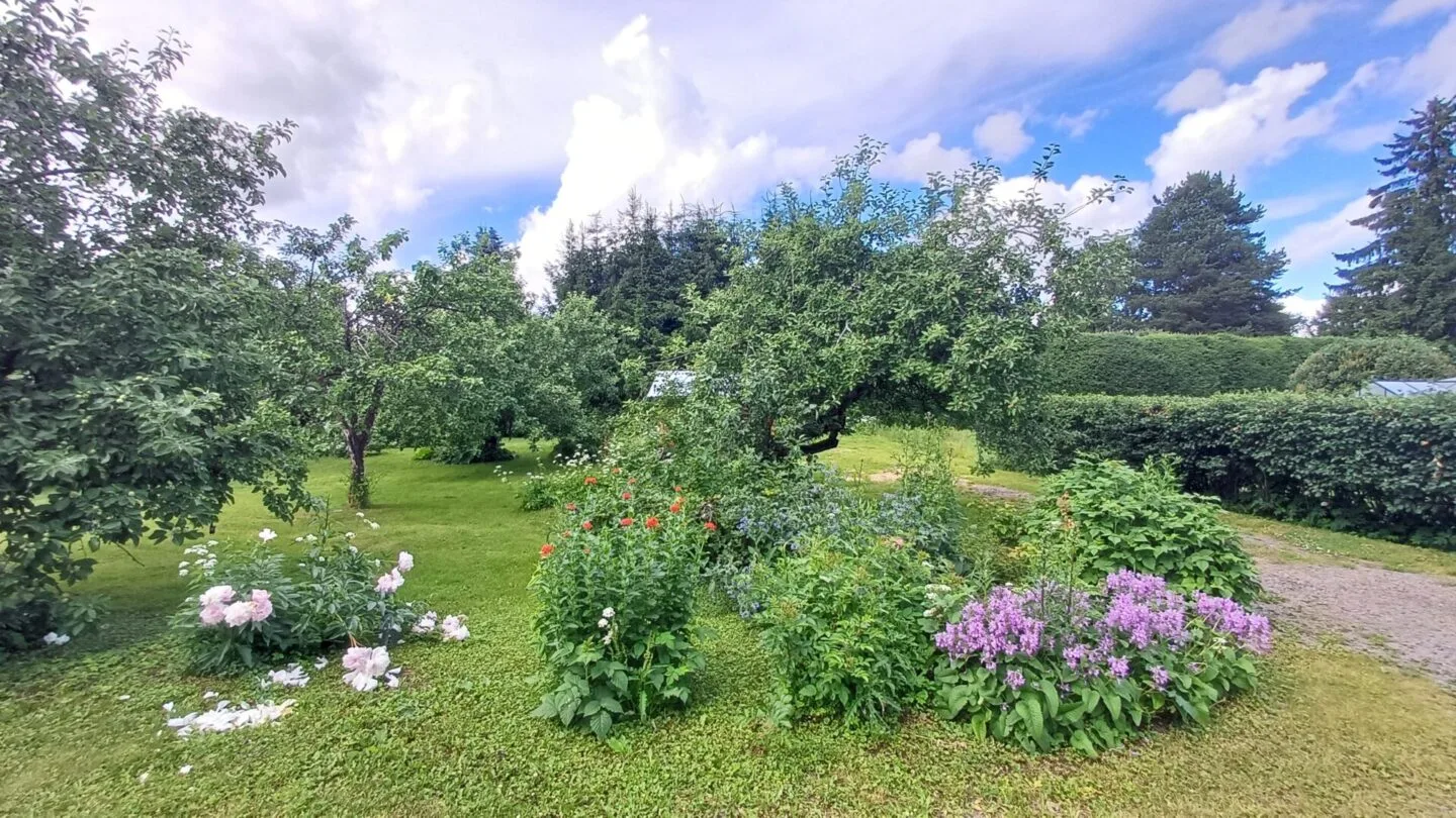 Omakotitalotontti, 1509 m², Ojoinen