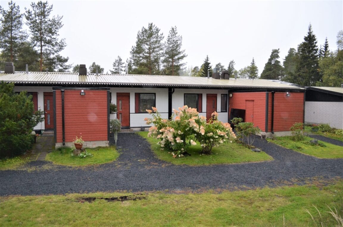 Rivitie 7, Jokioinen (Puistometsä)