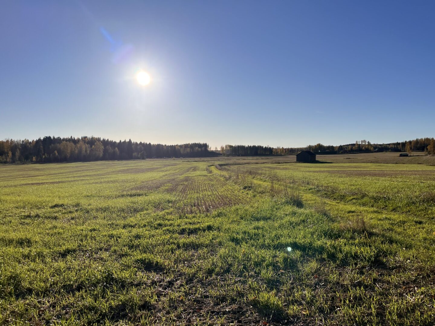 Hellämäentie 110, Hausjärvi (Monni), Kuva 1