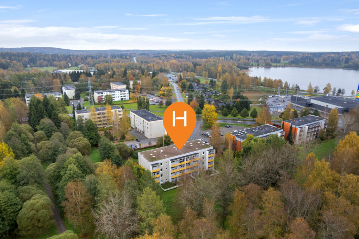 Pikkuaro 6, Hämeenlinna