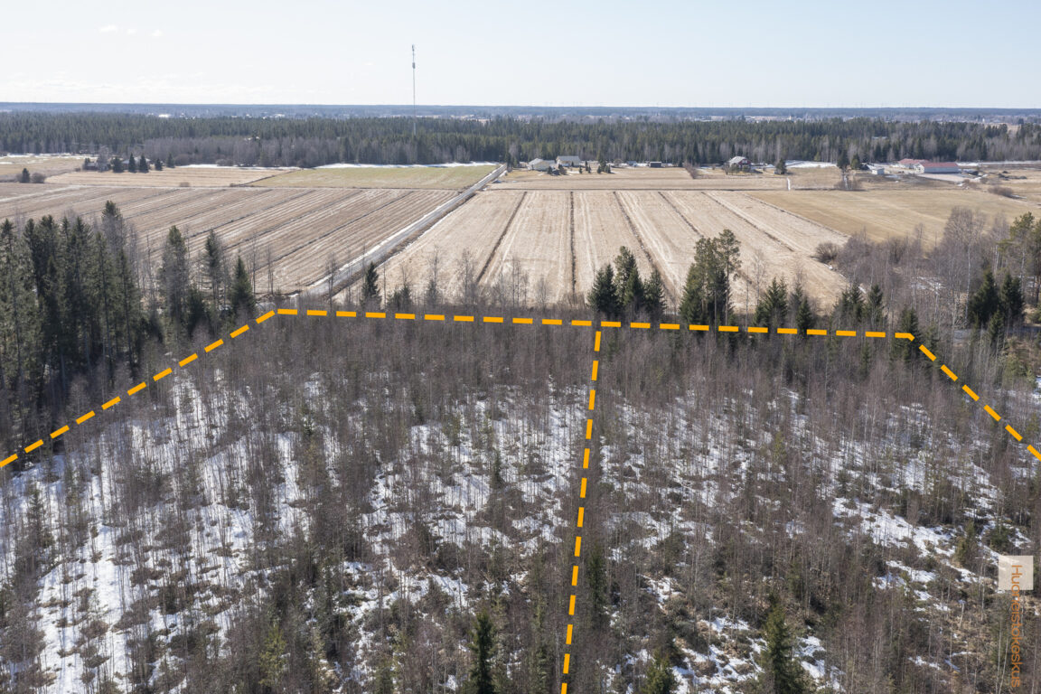Lampintie, Ylivieska (Niemelänkylä)