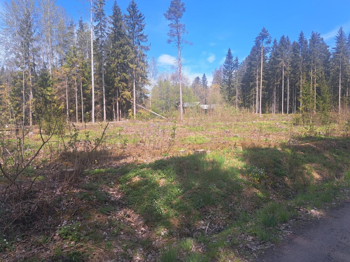 Pohjoinen Boxintie 58, Box (Box)