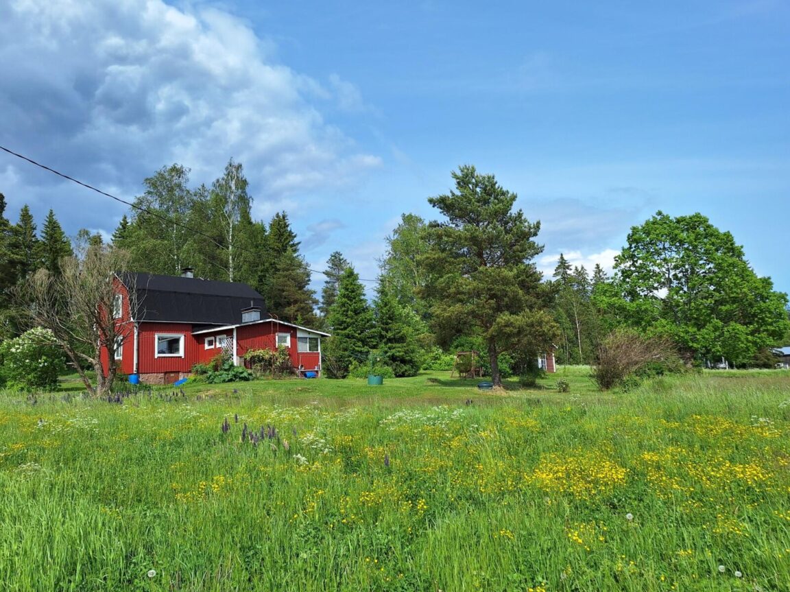 Pohjoinen Boxintie 79, Box (Box)