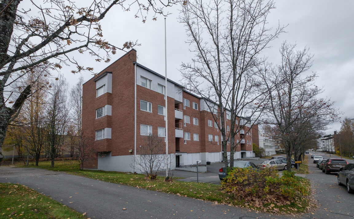 Väinämönkatu 4, Äänekoski (Ääneniemi)