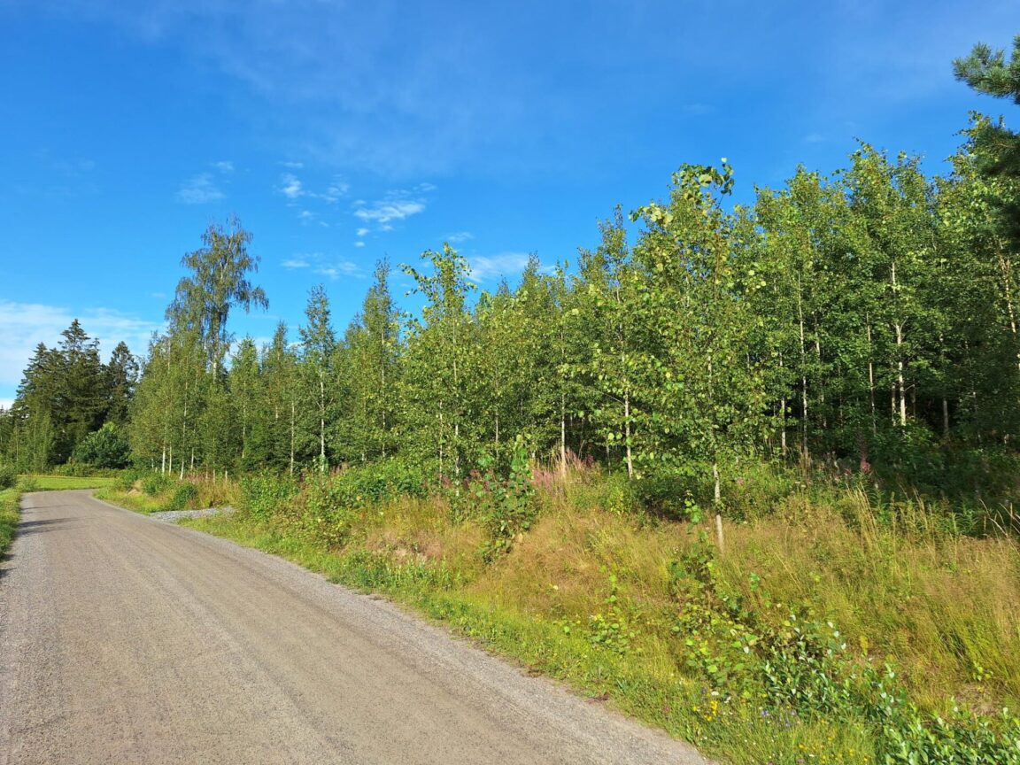 Skepparsintie 95, Sipoo (Linnanpelto)